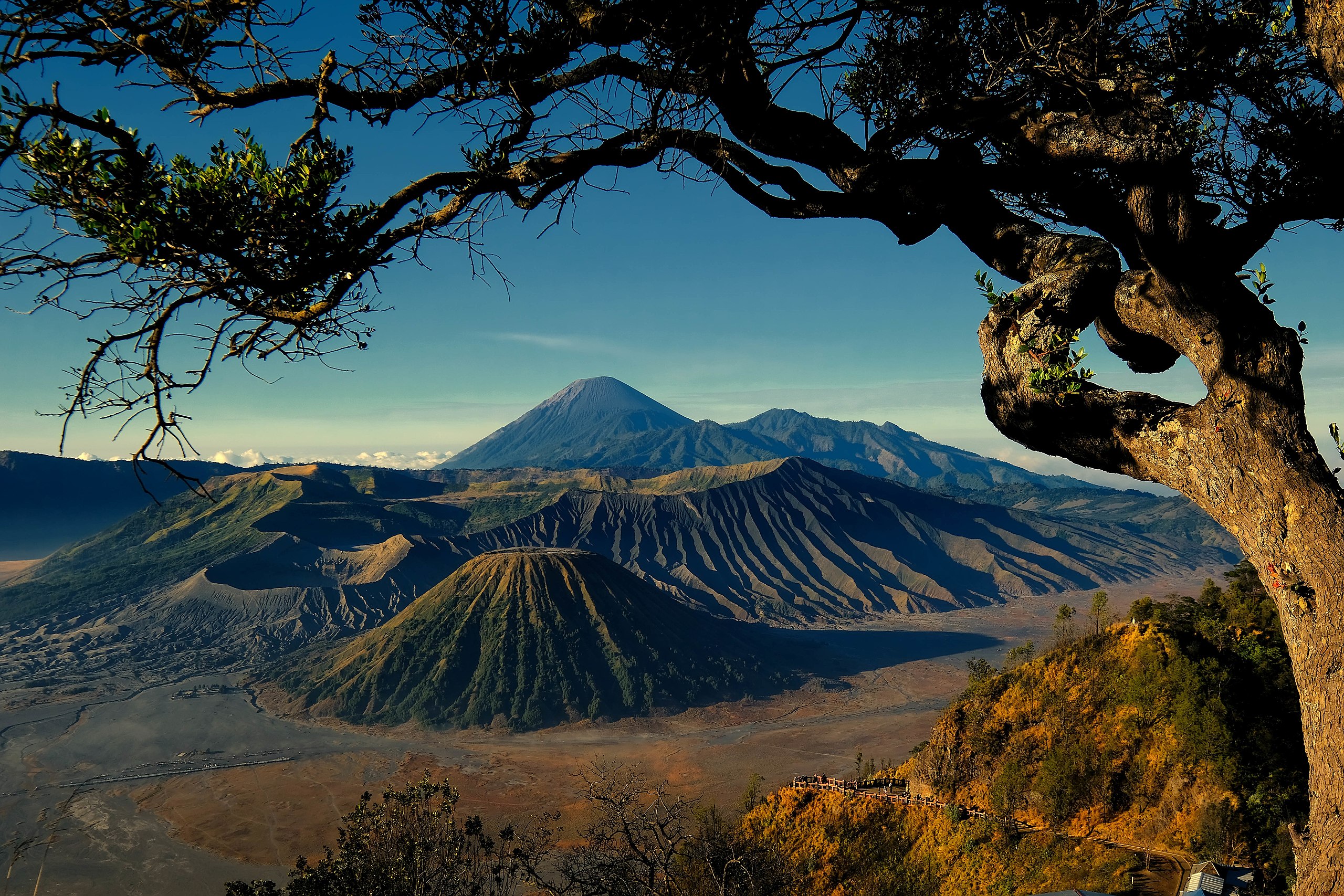 awa Timur Catat Lonjakan Wisatawan Saat Nataru