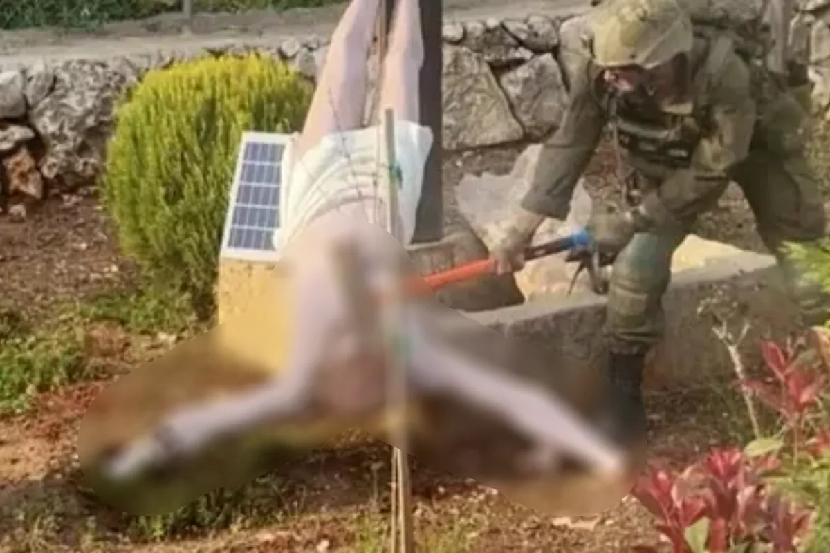 Menjaga Asa Perdamaian di Tengah Ujian Keyakinan di Lebanon